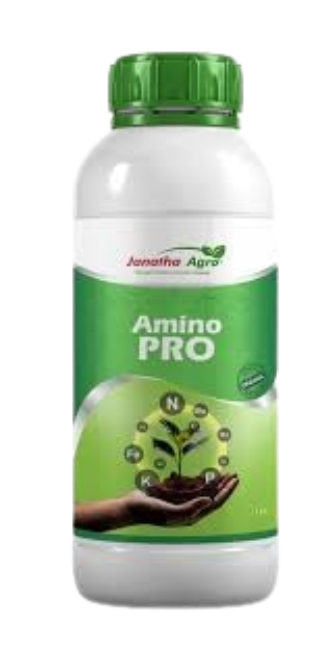 Amino Acid