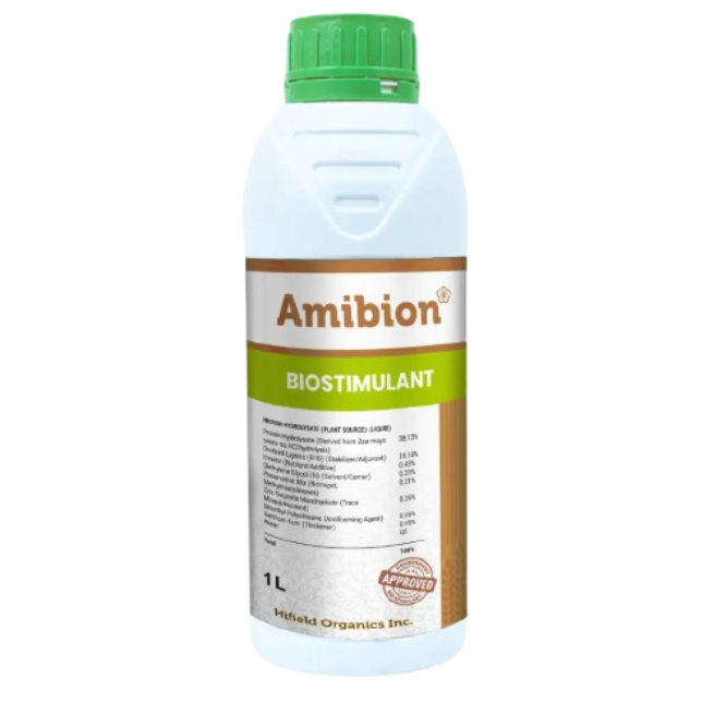 Protein Hydrolysate