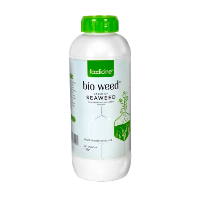 Seaweed Extract